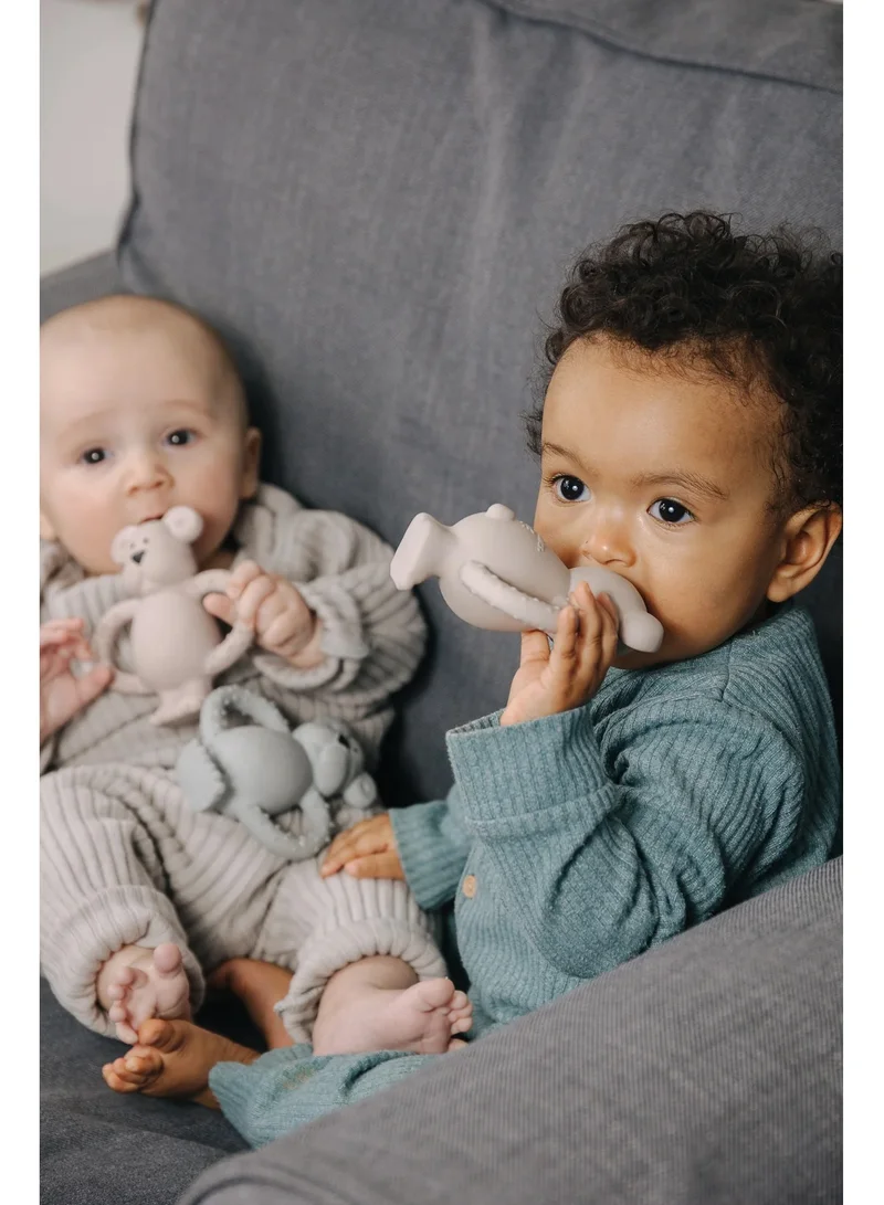 Pippeta Pipetta Albert Bear Blue Natural Rubber Teether 100% Natural Rubber For Soothing Babies/Infants Sore Gums Easy To Hold And Supports Sense Of Touch Development, From 0+ Months Blush