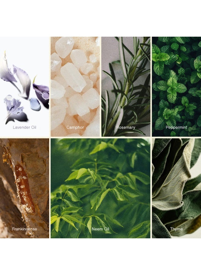 ISCENT | Breathe Easy – Fragrance Oil Refill for Ensō Mini Diffuser 10ml | Lavender, Peppermint & Frankincense for Home & Car | Herbal Mint with Woods for Fresh Relaxation - Image 5