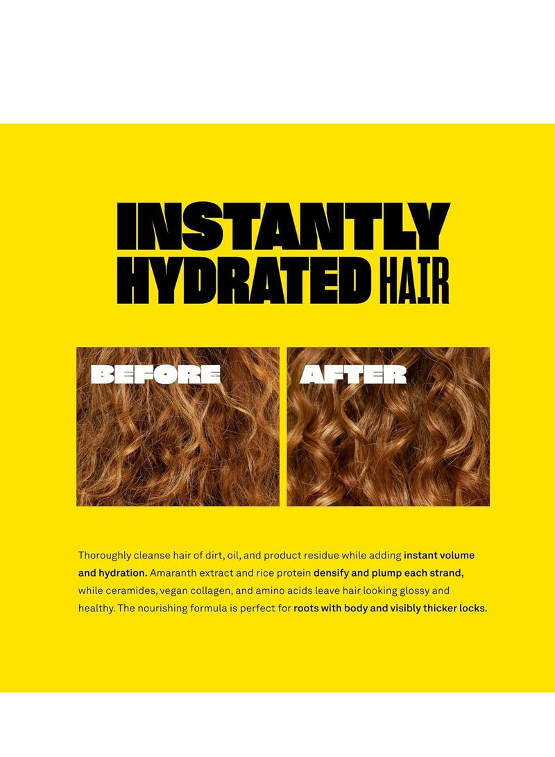 BABE ORIGINAL Locks Densifying Shampoo for Women and Men, Volumizing Shampoo Promotes Thickness and Prevents Hair Loss, for Fuller, Thicker Hair, Cruelty Free, 13.5 fl oz.