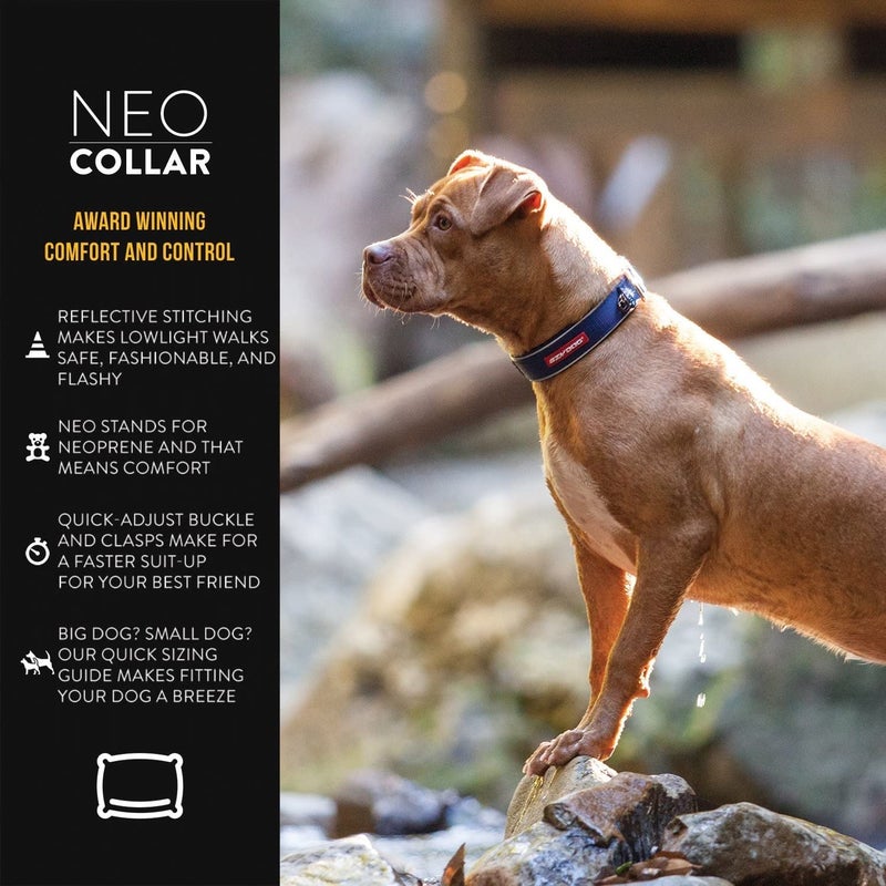 EzyDog Neo Dog Collar - Waterproof & Reflective Dog Collar with Soft Padded Neoprene for Comfort & Durable Nylon â€“ Features Quick Release Buckle and Built-in ID Clip (X-Large, Orange) - Image 1