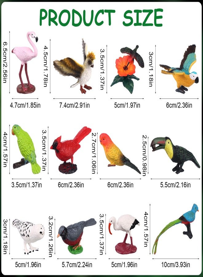Warmshine 24 Pcs Realistic Bird Animals Figurines Mini Bird Figures Model Eagle Parrot Robin Owl Plastic Bird Figures Toys Fairy Garden Accessories Dollhouse Birthday Cake Toppers - Image 2