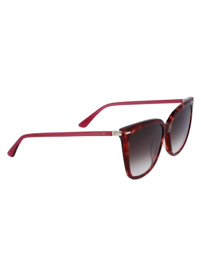 CALVIN KLEIN Full Rim Acetate Modified Rectangle Sun Ck22532S 5616 (609) Burgundy Havana  - Image 2