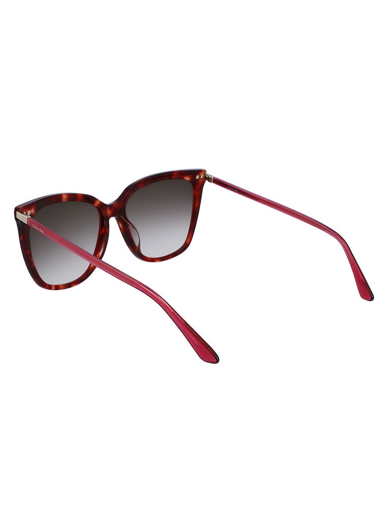 CALVIN KLEIN Full Rim Acetate Modified Rectangle Sun Ck22532S 5616 (609) Burgundy Havana  - Image 3