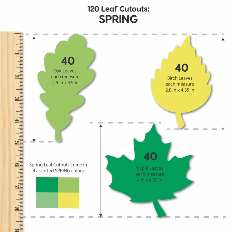 FreshCut Crafts 120 Pieces Spring Leaf Paper Cutouts with IDEA Guide, 2-Sided US Made Card Stock Punch Out Maple, Oak, and Birch Leaves for Bulletin Boards, Classroom Decor, Spring Crafts, DIY Scrapbook, and Posters - Image 4