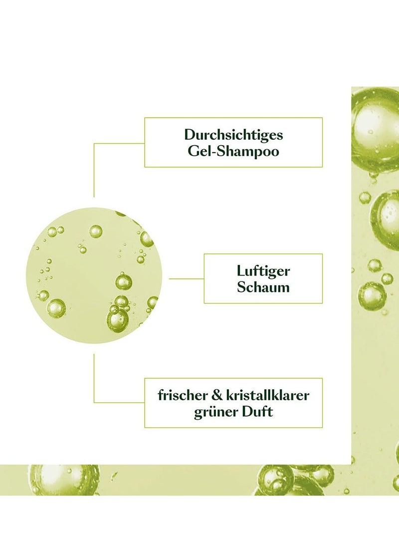 Rene Furterer Rene Furterer VOLUMEA Volumizing Shampoo - For Fine, Limp Hair - Thickening & Volumizing - SLS Free  - Image 5