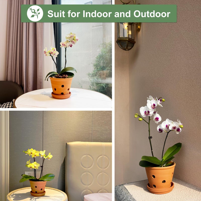Orceler 6 inch Terracotta Orchid Pots with Holes and Saucers, 3 Pack Clay Orchid Planter Pots for Repotting, Small Terra Cotta Orchid Pot, Plant Flower Pots for Orchid Indoor Outdoor Promotes Air Circulation - Image 4