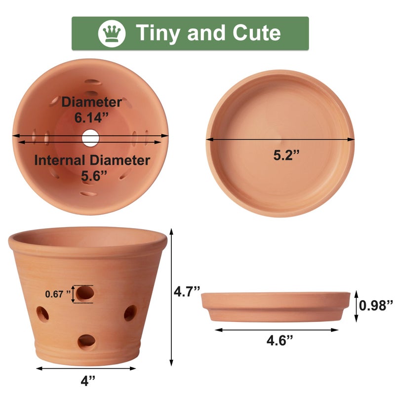 Orceler 6 inch Terracotta Orchid Pots with Holes and Saucers, 3 Pack Clay Orchid Planter Pots for Repotting, Small Terra Cotta Orchid Pot, Plant Flower Pots for Orchid Indoor Outdoor Promotes Air Circulation - Image 2