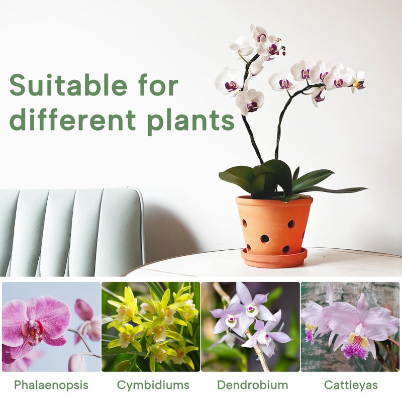 Orceler 6 inch Terracotta Orchid Pots with Holes and Saucers, 3 Pack Clay Orchid Planter Pots for Repotting, Small Terra Cotta Orchid Pot, Plant Flower Pots for Orchid Indoor Outdoor Promotes Air Circulation - Image 5