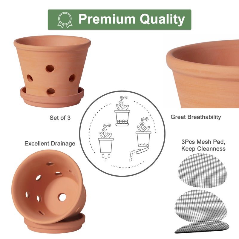 Orceler 6 inch Terracotta Orchid Pots with Holes and Saucers, 3 Pack Clay Orchid Planter Pots for Repotting, Small Terra Cotta Orchid Pot, Plant Flower Pots for Orchid Indoor Outdoor Promotes Air Circulation - Image 3