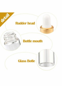 Y&D Clear Glass Dropper Bottle 5ML Sample Storage Containers Vials Eye Dispenser  - Image 2