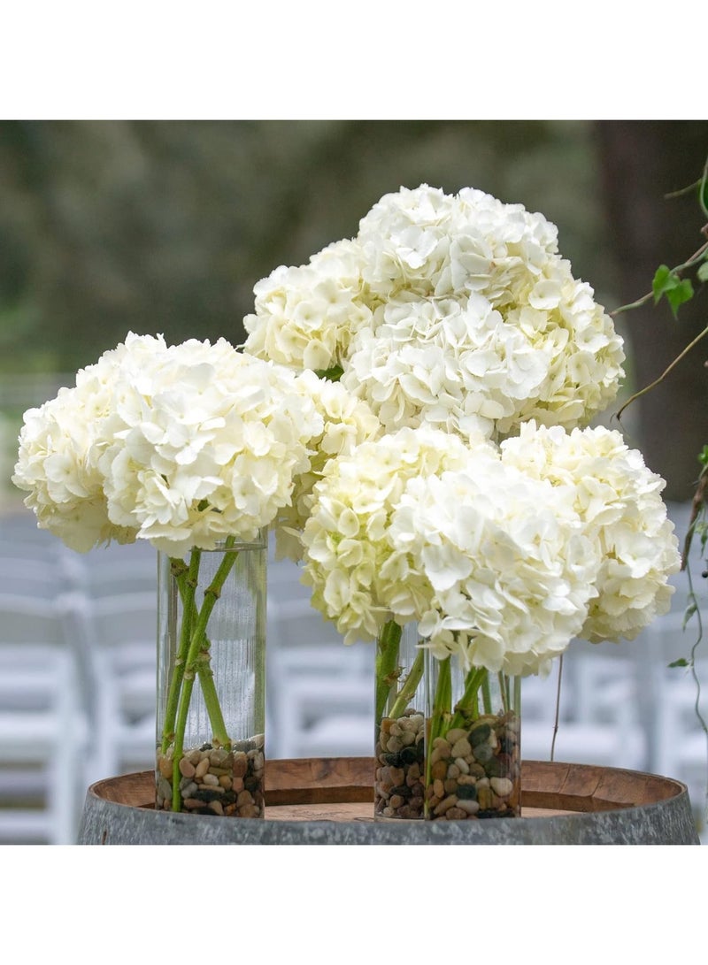 HOME ZONE Set of 6 Decorative Cylindrical Vase Clear (M+L+XL) - Image 3