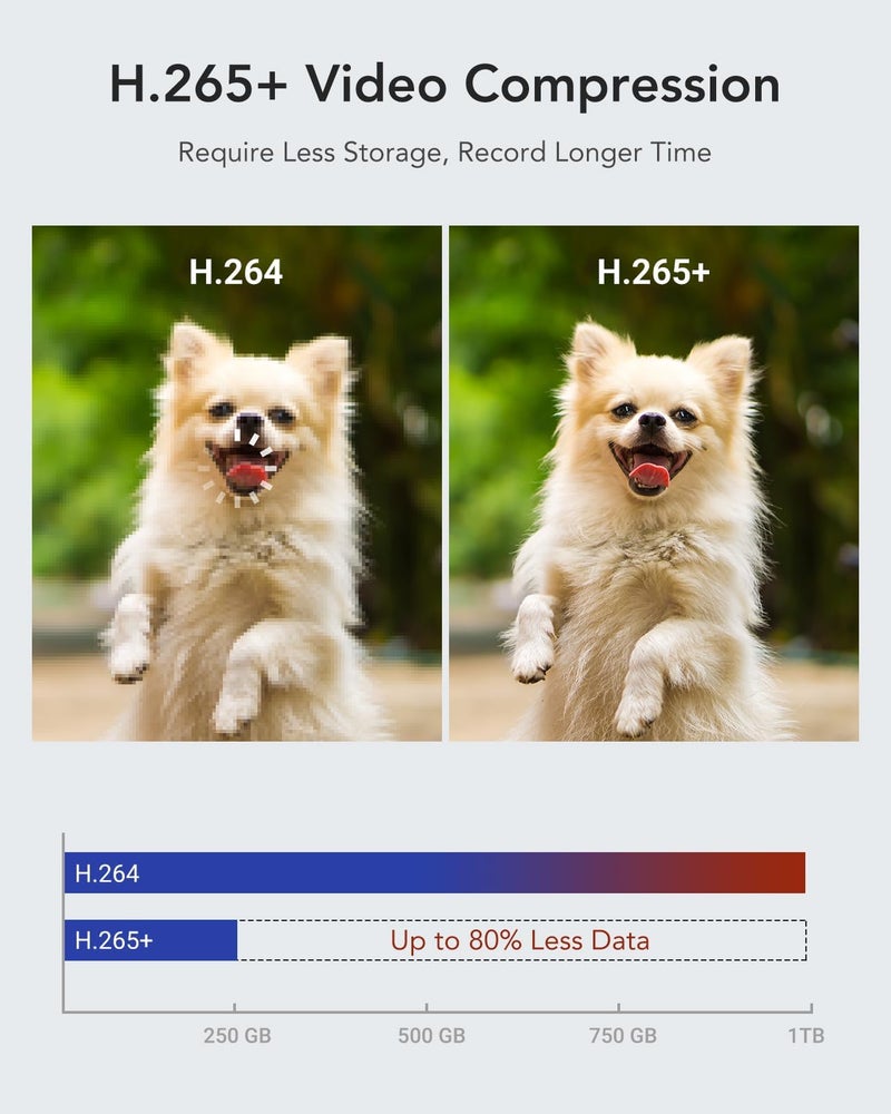 ANNKE 16Channel 1080P Lite Security Digital Video Recorder with AI Human/Vehicle Detection, H.265+ Video Compression for Bandwidth Efficiency, 16CH 5-in-1 CCTV DVR for Surveillance Camera, NO HDD - Image 5