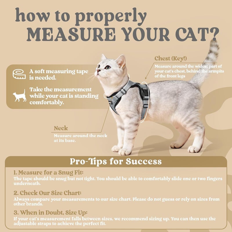 Rabbitgoo Cat Harness with Lead, Soft Harness for Cats, Chest Harness, Cat Harness, Escape Proof, Adjustable, Grey M - Image 2