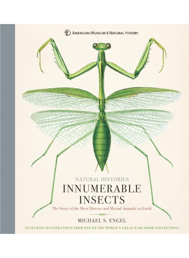 Innumerable Insects : The Story of the Most Diverse and Myriad Animals on Earth 