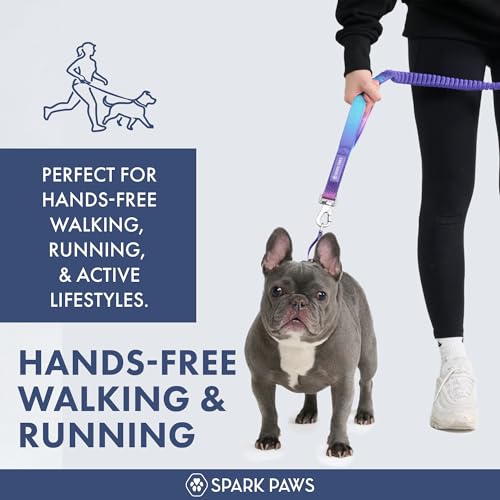 Spark Paws Handsfree Dog Leash Shock Absorbing Waist Bungee Lead for Running Car Seatbelt Clip Poop Bag Set Heavy Duty Tactical Lead for Medium Large XLarge Breeds 90s Retro - Image 3