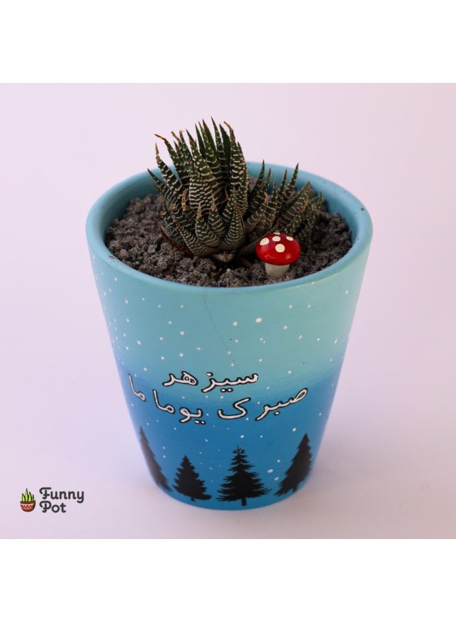 بوت صبار طبيعي