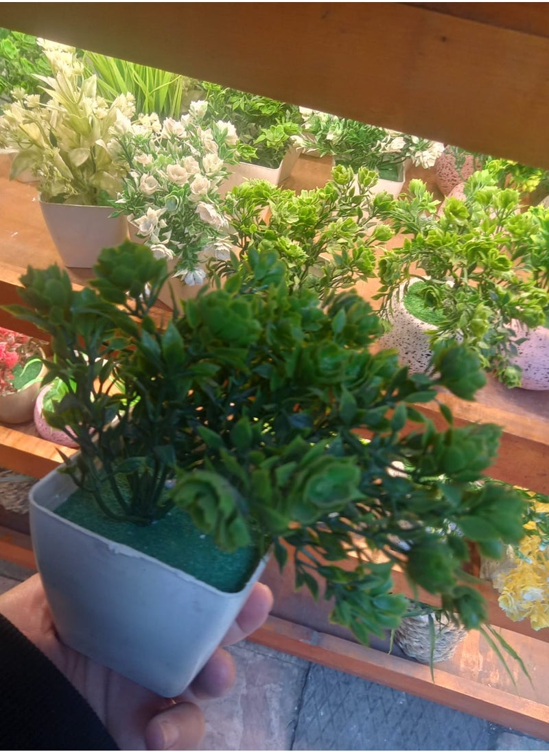 Generic 6 Artificial Plant Vases  - Image 2