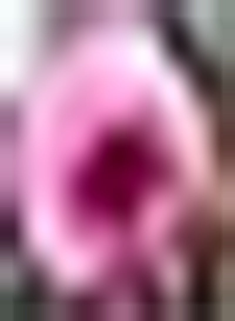 جي جوت 3 قطعة Rge Dahlia Bollen ديكور Bloei Zeldzame variëteit die onmisbaar هو من أجل tuinhuizen Zeer mooie en mooie snijbloemen - Image 2