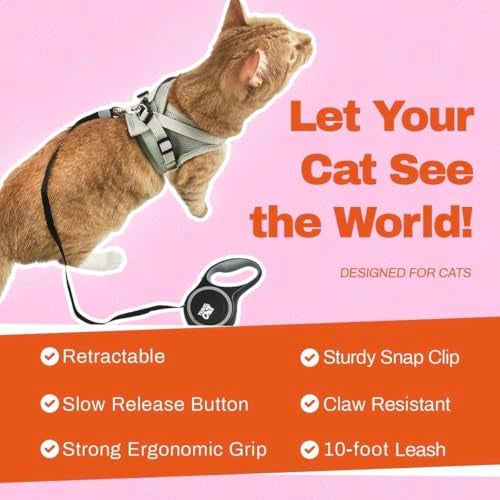 Your Cat Backpack Travel Cat Retractable Expandable Leash - Black 10 Ft Long Strong Tape, Release/Lock Button and Anti-Slip Handle for Small to Large Cats - Light Pet Leash for Walking, Training - Image 5
