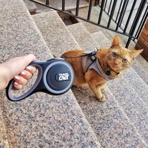 Your Cat Backpack Travel Cat Retractable Expandable Leash - Black 10 Ft Long Strong Tape, Release/Lock Button and Anti-Slip Handle for Small to Large Cats - Light Pet Leash for Walking, Training - Image 2