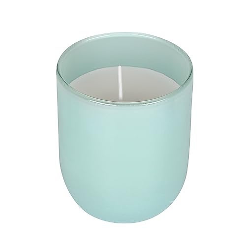 Parkash Candles Premium Scented Glass Candle (Blueberry) - Image 2