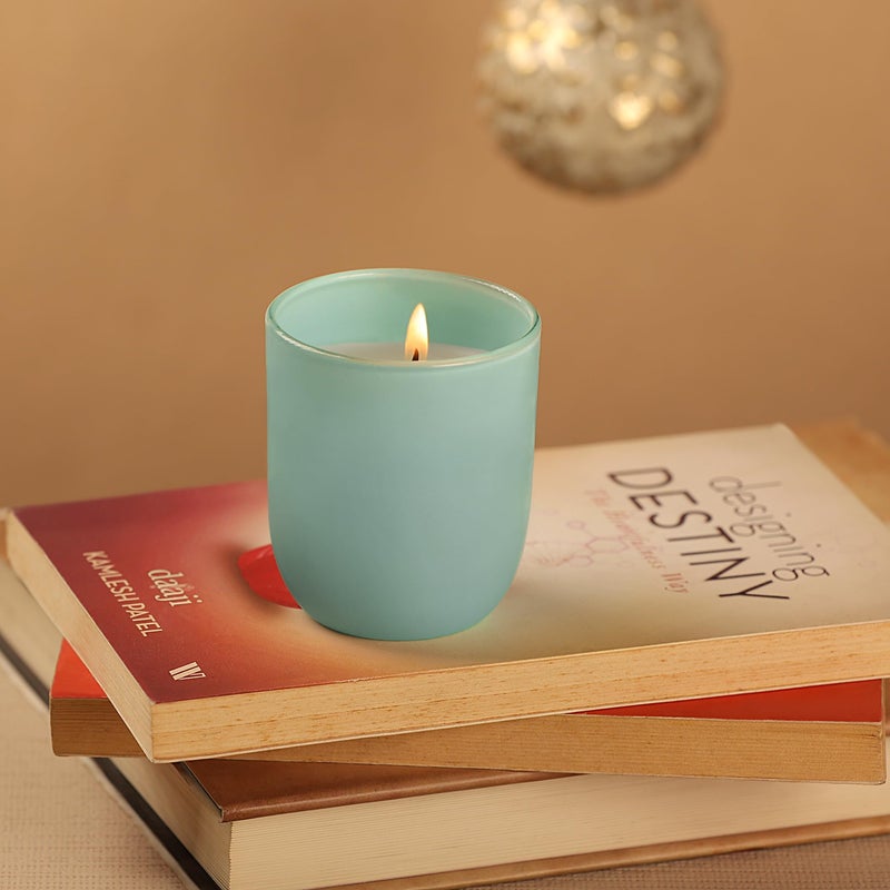Parkash Candles Premium Scented Glass Candle (Blueberry) - Image 4