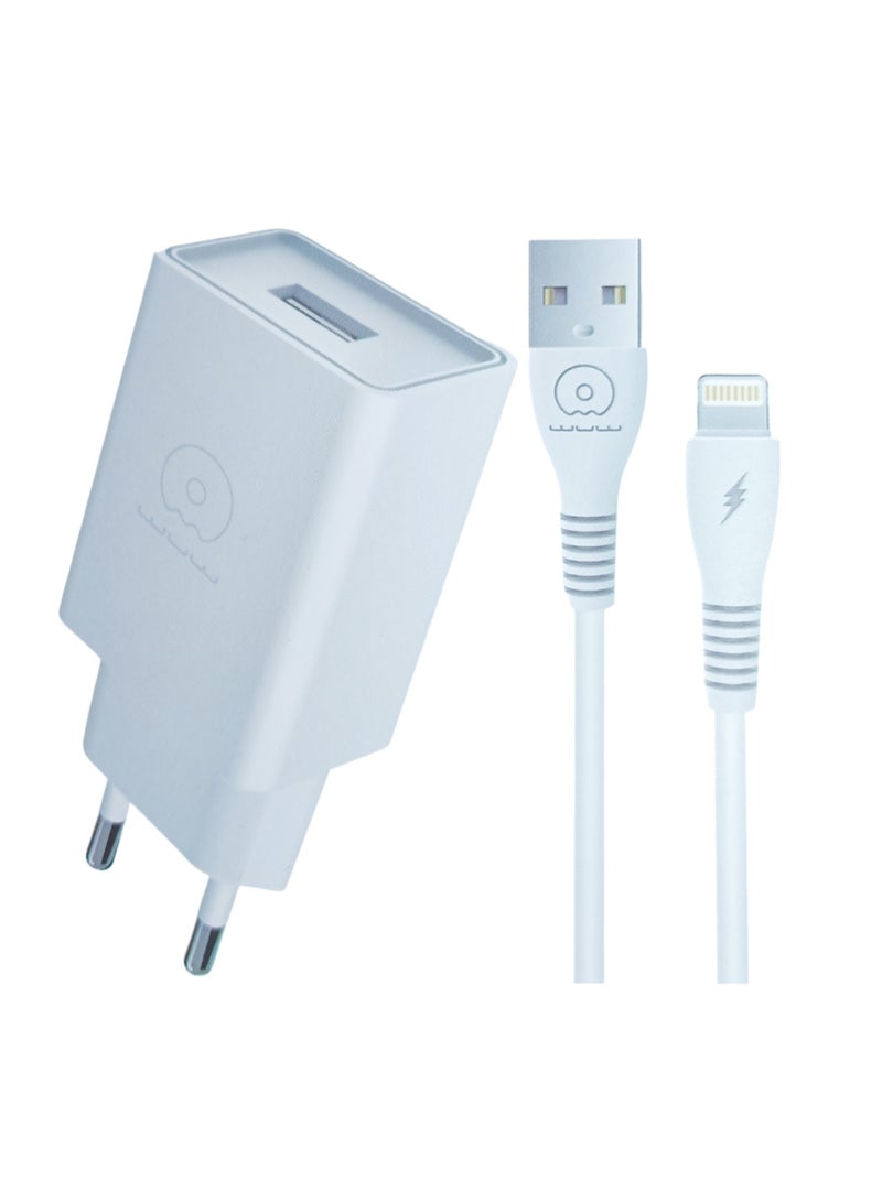 WUW USB iPhone Charger with Lightning cable 2.1A 