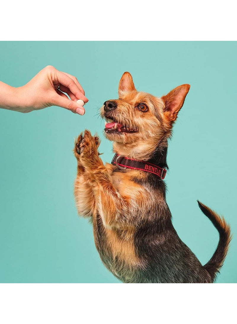 Pooch & Mutt - Daily Joint Care Supplement for Small Dogs 100g - Image 1