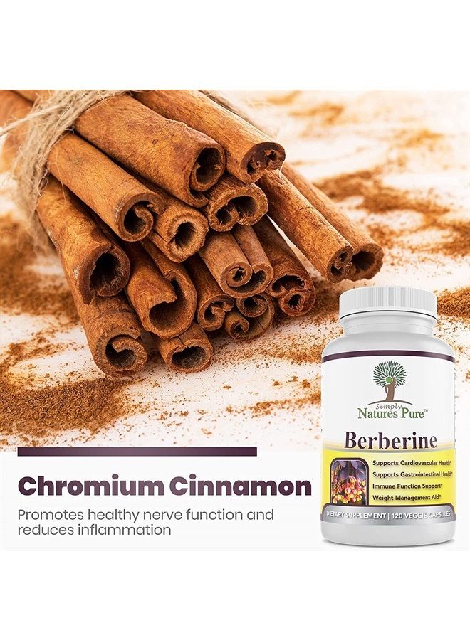 Premium Berberine HCl 500mg - 120 Capsules - Cardiovascular Gastrointestinal Immune Support - Chromium Cinnamon (Pack of 2)