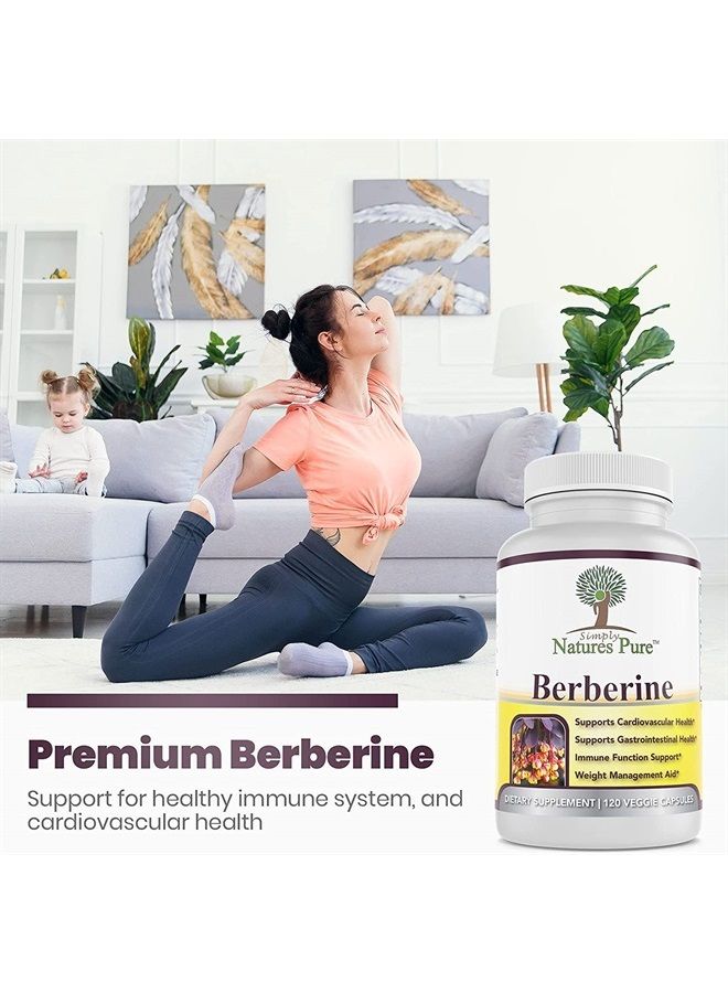 Premium Berberine HCl 500mg - 120 Capsules - Cardiovascular Gastrointestinal Immune Support - Chromium Cinnamon (Pack of 2)