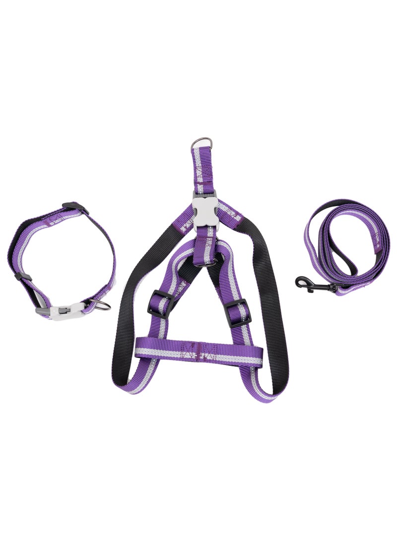 PL - مجموعة PupGear - كبير (نيون) - أرجواني