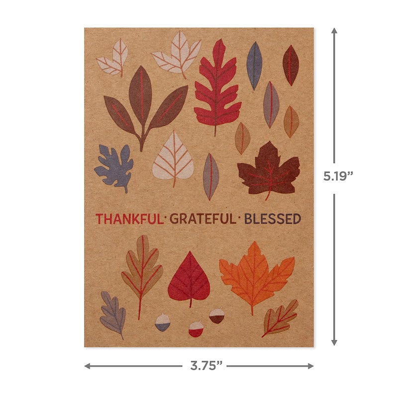 Hallmark Kraft Thanksgiving Cards Assortment (24 Assorted Cards with Envelopes) Leaves  Pumpkins  Gourds - Image 3