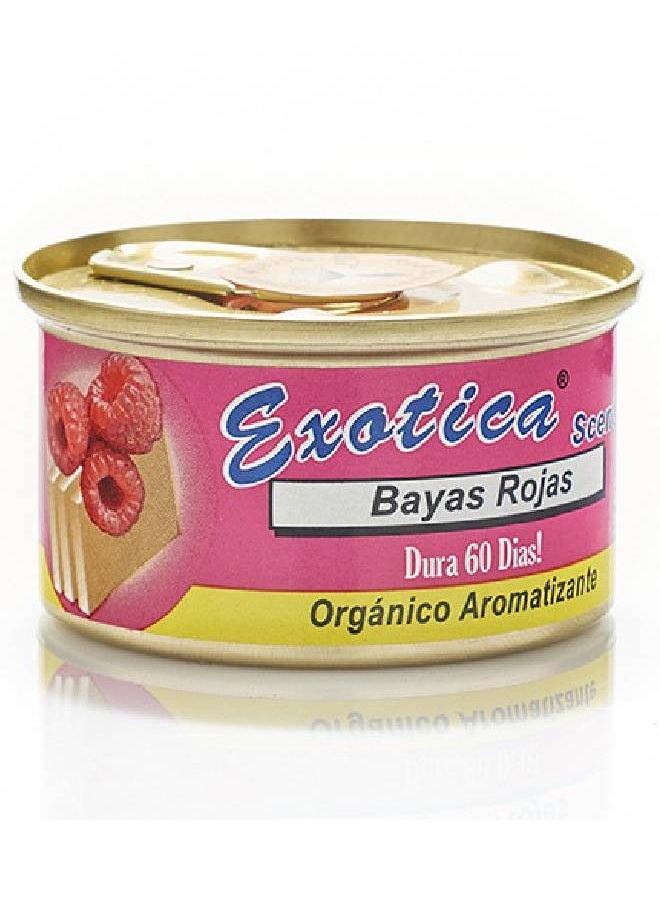 EXOTICA EXOTICA Organic Air Freshener Value Pack 2 count - Red Berries  - Image 3