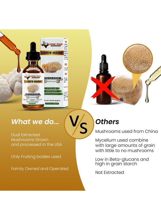 Lone Star Mushrooms Lions Mane Dual Liquid Extract/Tincture | Organic Fruiting Bodies only | Grown in USA | Highly Concentrated | Memory, Focus, Immunity | No Grain/Filler - Image 3