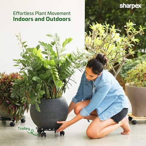 Sharpex Pack of 1 Metal Caddy Iron Dolly with Pre-Installed Wheels – Rustproof, Sturdy Plant Stand/trolley with Locking Wheels for Indoor/outdoor (Black) - Image 2