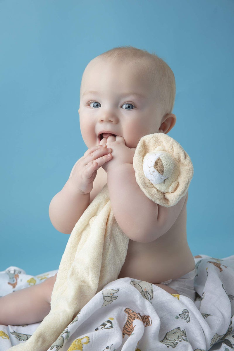 Angel Dear - Lion, Blankie - Image 3