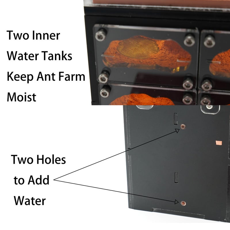 Rimsunta Ant Farm for Live Ants with Inner Lights - Large Viewing Area - Natural Learning Toy - Great Gift - Image 4