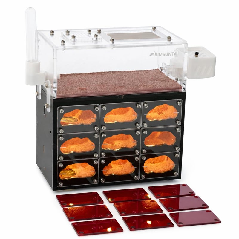 Rimsunta Ant Farm for Live Ants with Inner Lights - Large Viewing Area - Natural Learning Toy - Great Gift - Image 1