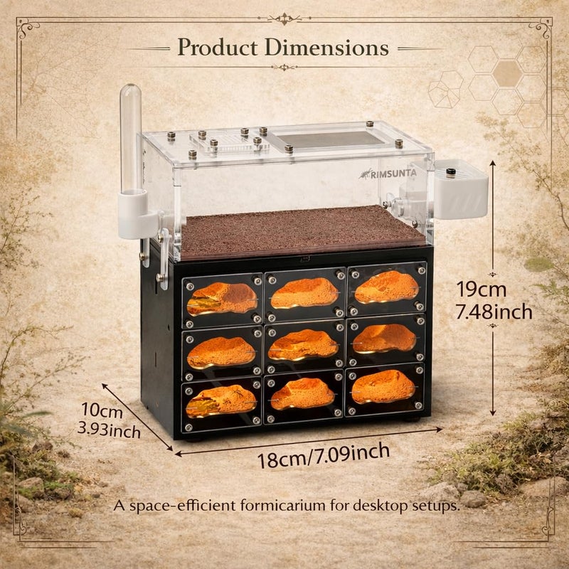 Rimsunta Ant Farm for Live Ants with Inner Lights - Large Viewing Area - Natural Learning Toy - Great Gift - Image 3
