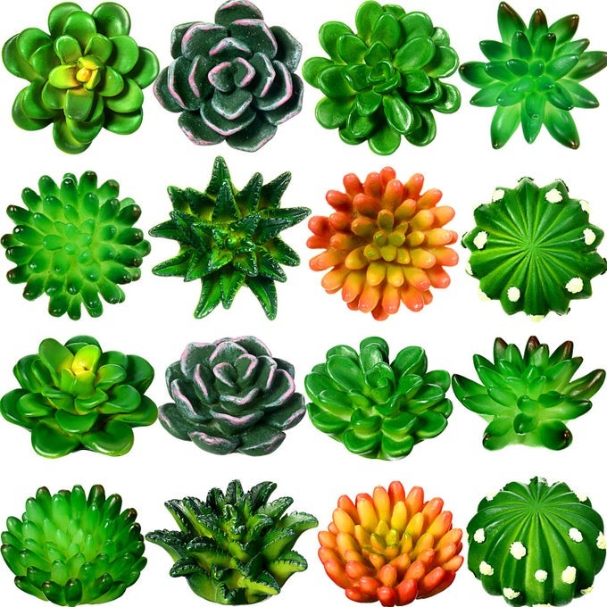 16 Pieces Cactus Succulent Refrigerator Magnets 3D Resin Fridge Magnets Mini Plant Decorative Stickers for Whiteboard Locker Office Kitchen