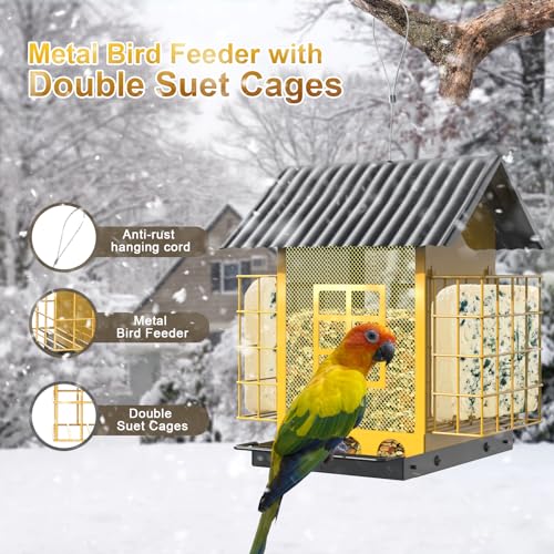 FlowaFoli Bird Feeders for Outdoors Hanging Metal Bird Feeder with Double Suet Cage Cake Large Capacity Birdfeeders Sturdy Weatherproof Easy to Clean Refill Great for Attracting Wild Birds - Image 3