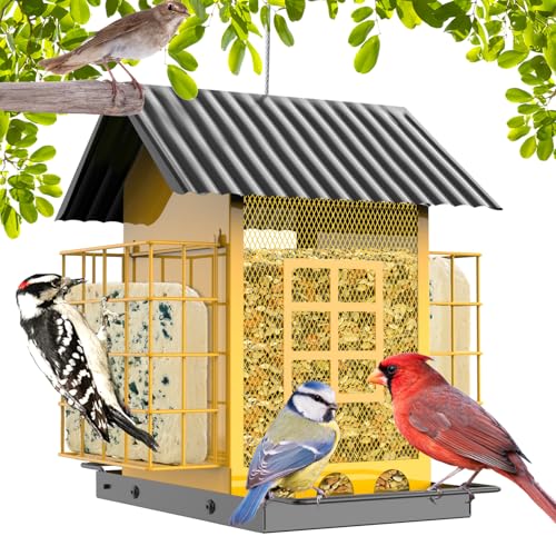 FlowaFoli Bird Feeders for Outdoors Hanging Metal Bird Feeder with Double Suet Cage Cake Large Capacity Birdfeeders Sturdy Weatherproof Easy to Clean Refill Great for Attracting Wild Birds - Image 1