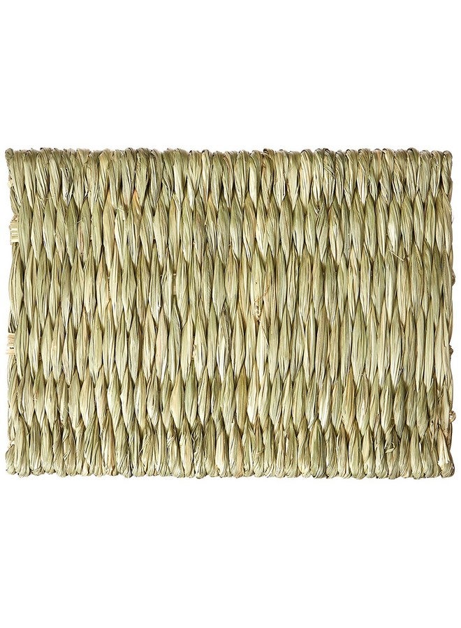 Oxbow Timothy Club  Timothy Mat For Pets, Medium, 2Pack - Image 2