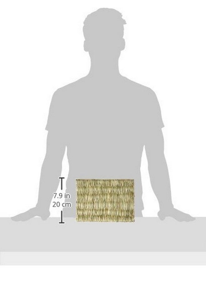 Oxbow Timothy Club  Timothy Mat For Pets, Medium, 2Pack - Image 4