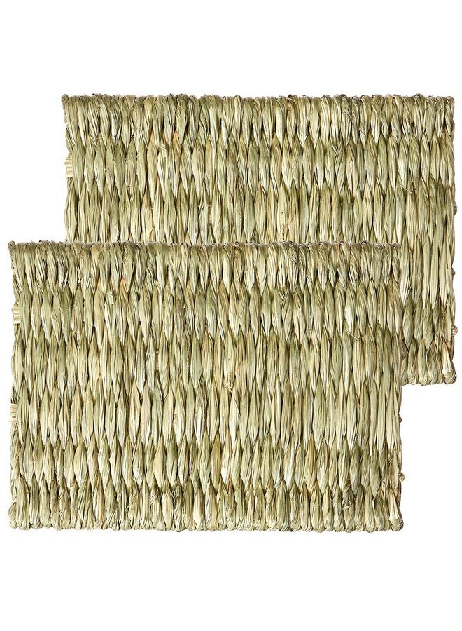 Oxbow Timothy Club  Timothy Mat For Pets, Medium, 2Pack - Image 1