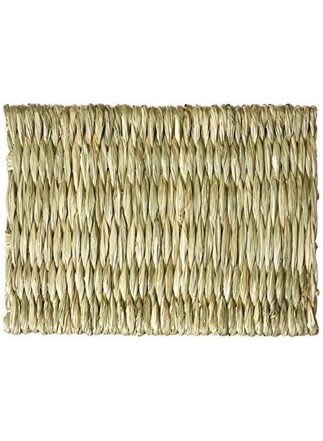 Oxbow Timothy Club  Timothy Mat For Pets, Medium, 2Pack - Image 3