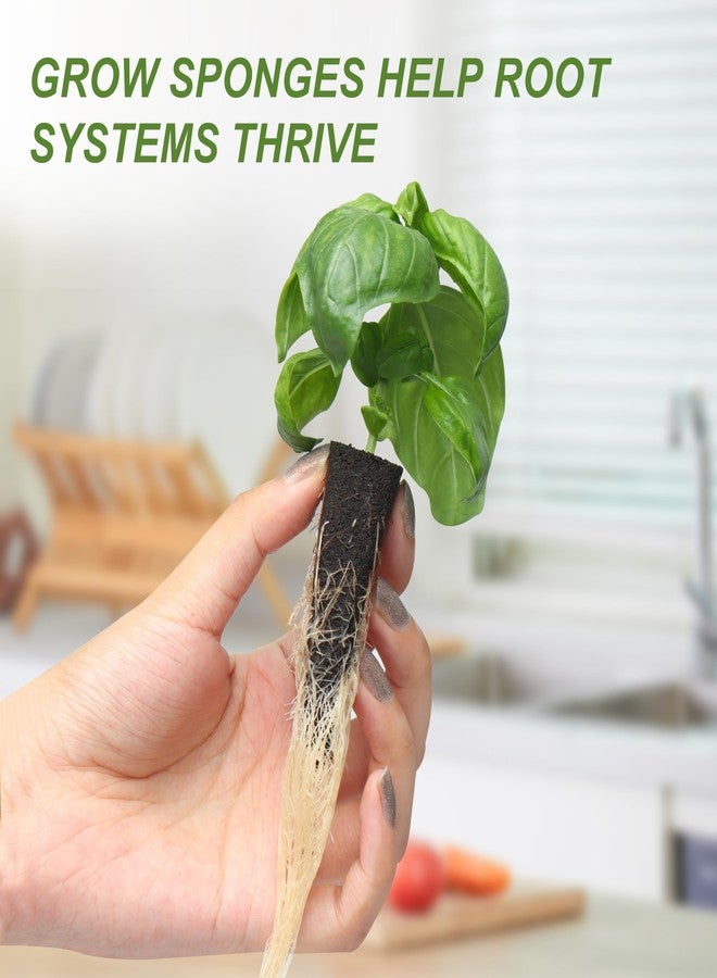 Kiicii Kratky Method Hydroponic Planter Kit, 8 Hydroponic Planter Plus 24 Growing Sponges for Herbs, Hydroponic Mini Buckets for Windowsill Herb Garden, Hydroponic Growing System for Vegetables (Black) - Image 4