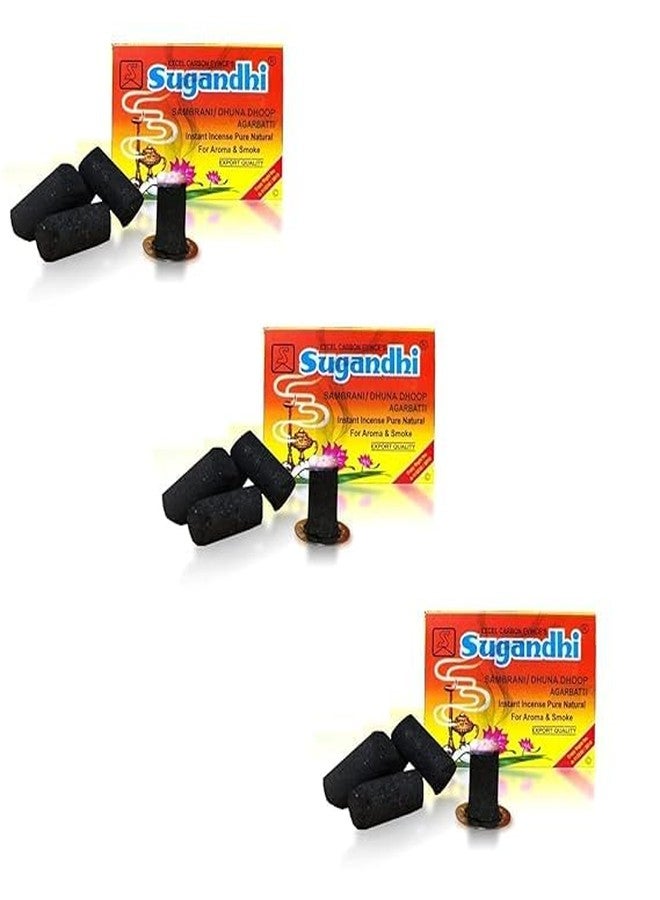 eVasavamba Sugandhi Sambrani | Dhuna | Export Quality | Dhoop Stick | Incense Stick | Agarbatti | Benzoin | Loban | Multi-Purpose, 20 Dhoop Sticks per Box with One Metal Plate x 12 Boxes - Image 4