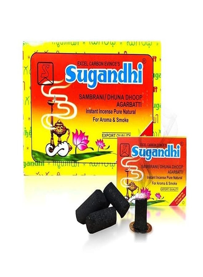 eVasavamba Sugandhi Sambrani | Dhuna | Export Quality | Dhoop Stick | Incense Stick | Agarbatti | Benzoin | Loban | Multi-Purpose, 20 Dhoop Sticks per Box with One Metal Plate x 12 Boxes - Image 2