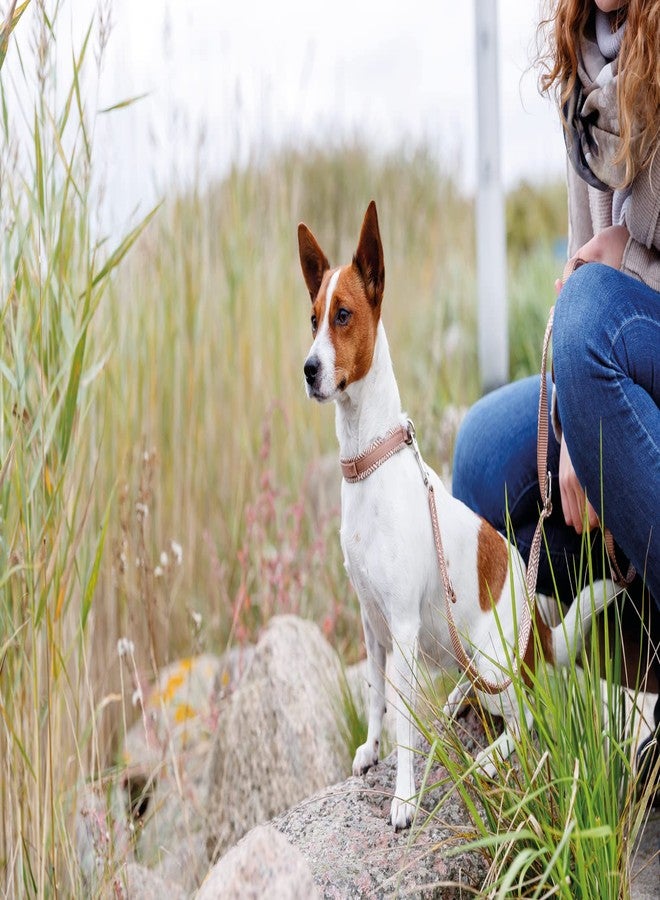 تريكسي طوق تريكسي المميز مع حشوة من النيوبرين، عريض للغاية، طوق أنيق ناعم للكلاب، طوق قابل للتعديل بالكامل، مشبك مقاوم للشد (مقاس كبير، لون بوهو دايموند/كراميل) - Image 5